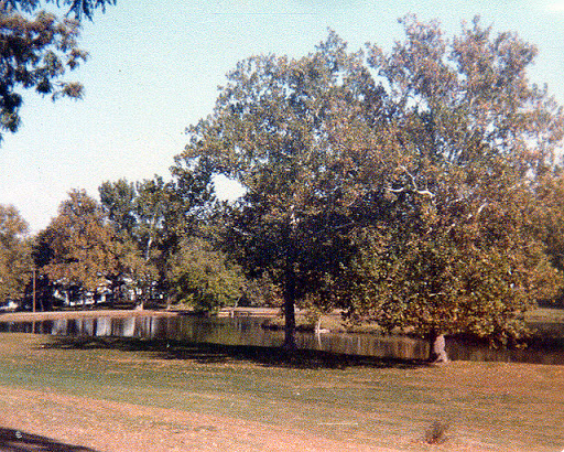 This is a pic of the Miller Park in North Omaha from the 1960s.