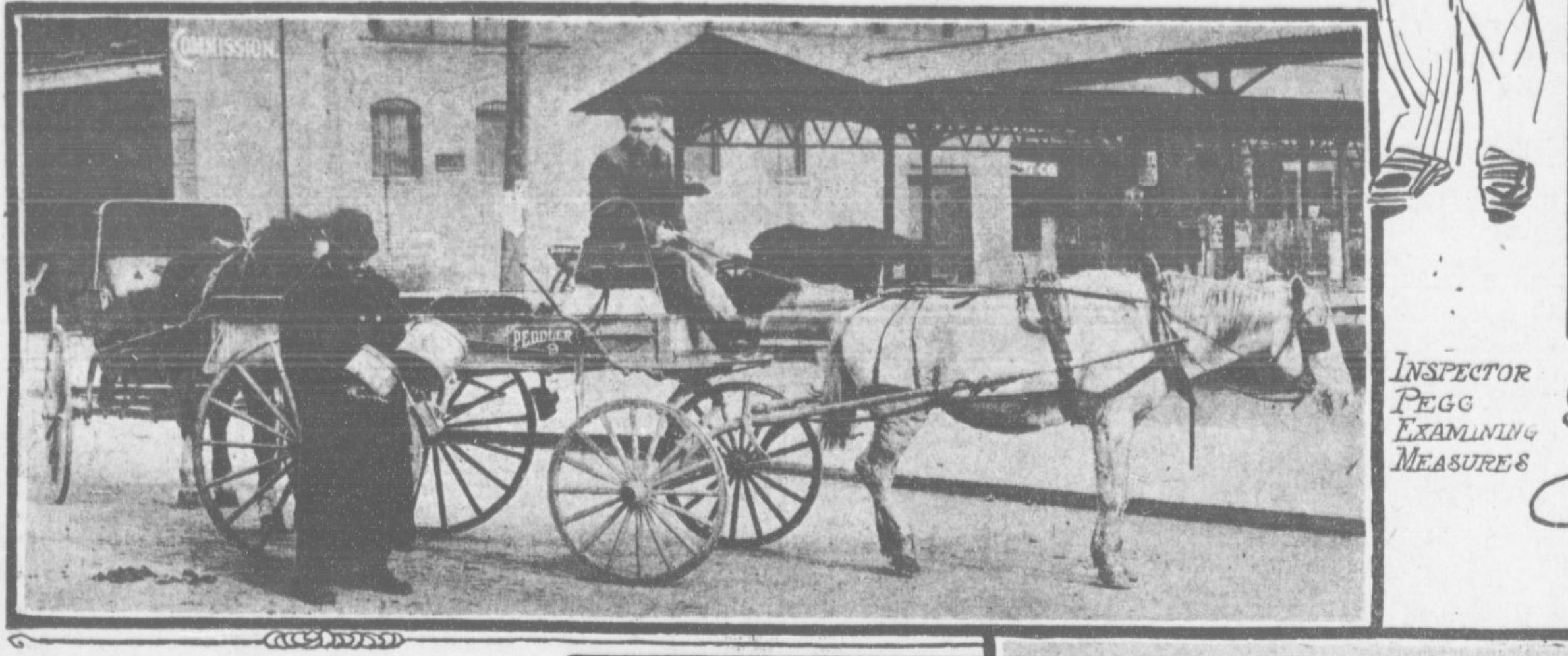 A Biography of John Grant Pegg