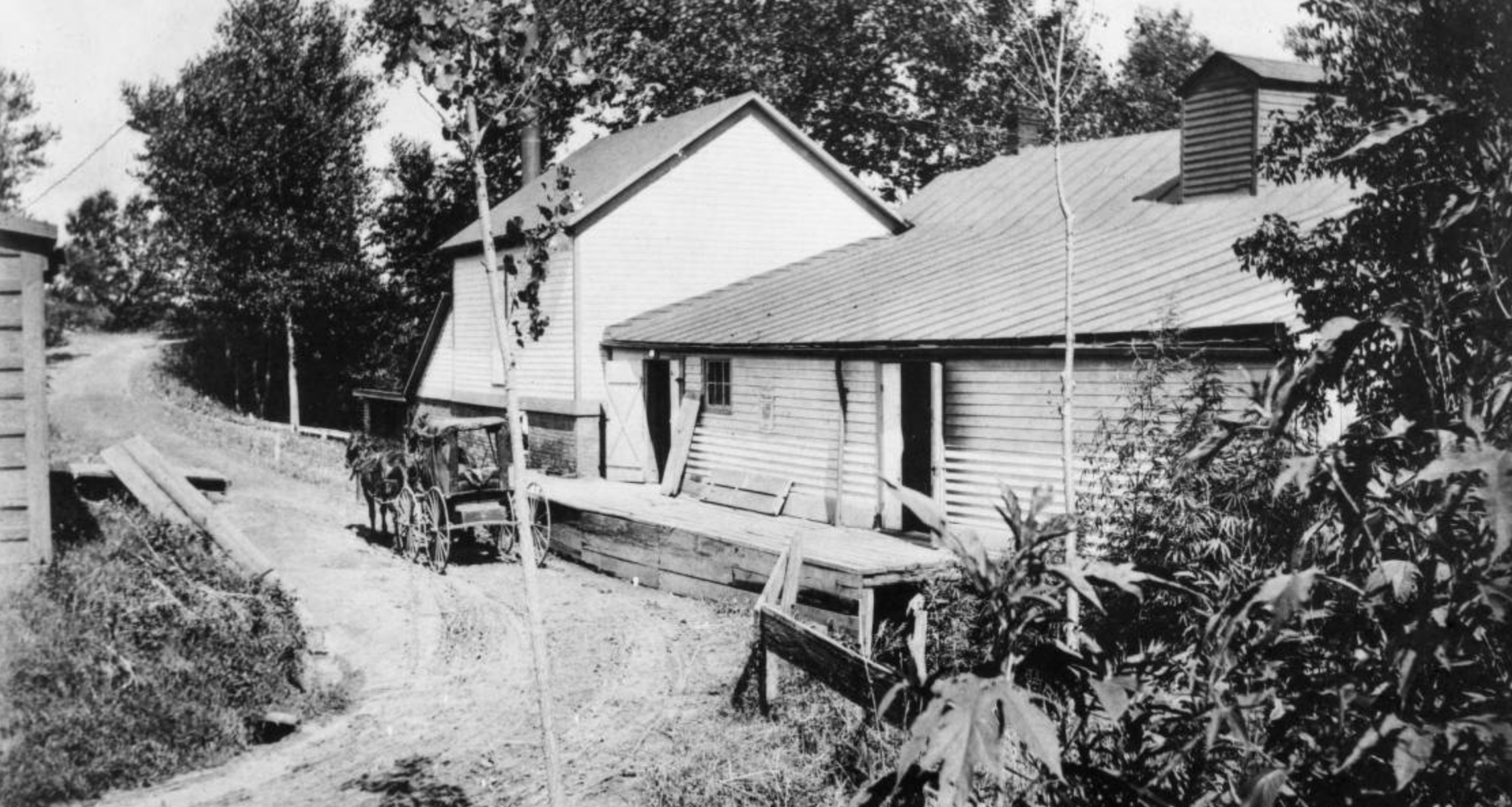 A History of the Florence Mill