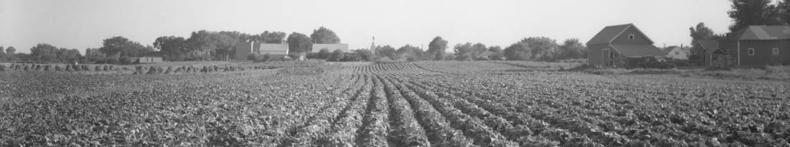 Truck farm, East Omaha, Nebraska